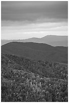 Hillside and receding ridges in autumn. Shenandoah National Park ( black and white)