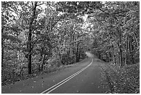 Skyline Drive in autumn. Shenandoah National Park, Virginia, USA. (black and white)