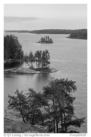 Islets and conifers, Anderson bay. Voyageurs National Park, Minnesota, USA.