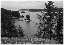 Islet and trees, Anderson Bay. Voyageurs National Park ( black and white)
