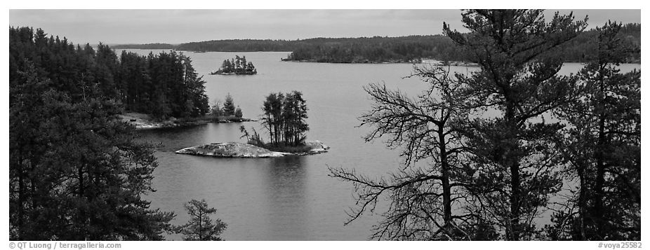North woods lake scenery with tiny islets. Voyageurs National Park (black and white)