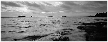 Lakeshore scenery. Voyageurs National Park (Panoramic black and white)