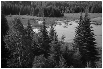 Beaver Pond Overlook, Ash River. Voyageurs National Park ( black and white)