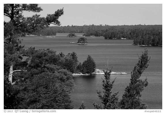 Kabetogama Lake Overlook, morning. Voyageurs National Park (black and white)