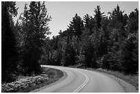 Road, Ash River. Voyageurs National Park ( black and white)