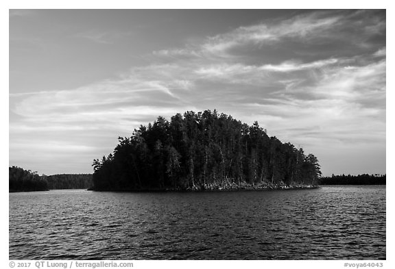 Island, Grassy Bay. Voyageurs National Park (black and white)