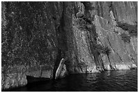 Cliff base, Grassy Bay. Voyageurs National Park ( black and white)