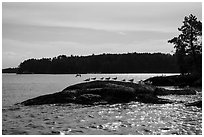 Seagulls perched on rock, Namakan Lake. Voyageurs National Park ( black and white)