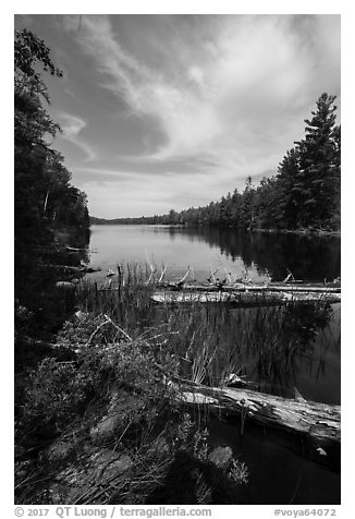 Beast Lake. Voyageurs National Park (black and white)
