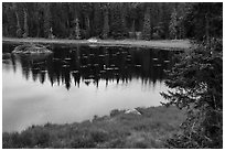 Beaver pond. Voyageurs National Park ( black and white)