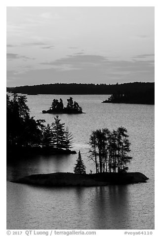 Islets and trees from above, Anderson Bay, sunrise. Voyageurs National Park (black and white)