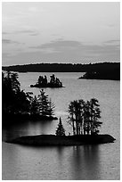 Islets and trees from above, Anderson Bay, sunrise. Voyageurs National Park ( black and white)