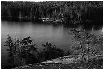 Granite rocks and trees above Anderson Bay. Voyageurs National Park ( black and white)
