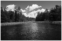 Channel with aquatic plants, Big Island. Voyageurs National Park ( black and white)