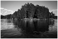 Forest reflections, Sand Point Lake. Voyageurs National Park ( black and white)
