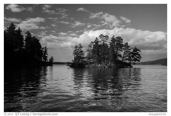 North Woods islet and reflection, Sand Point Lake. Voyageurs National Park (black and white)