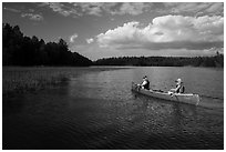 Canoe and aquatic grasses, Sand Point Lake. Voyageurs National Park ( black and white)
