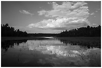 Reflections in glassy water of small arm of Sand Point Lake. Voyageurs National Park ( black and white)