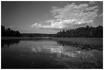 Small arm of Sand Point Lake with aquatic plants. Voyageurs National Park ( black and white)