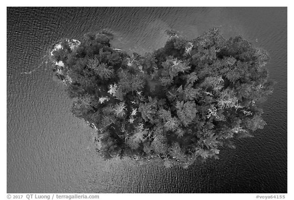Aerial view of islet, Squirrel Narrows, Namakan Lake. Voyageurs National Park (black and white)