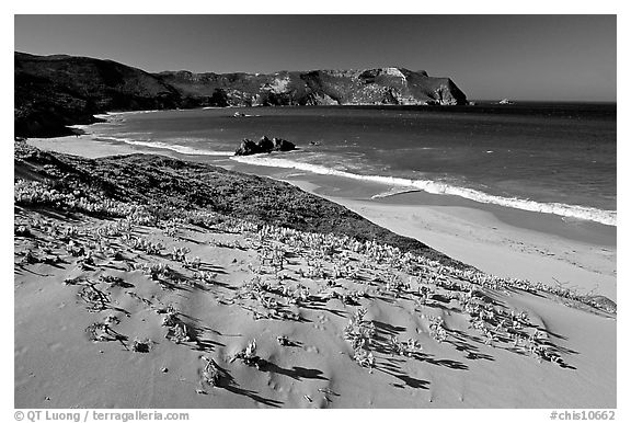 Sand dunes and Cuyler Harbor, afternoon, San Miguel Island. Channel Islands National Park (black and white)