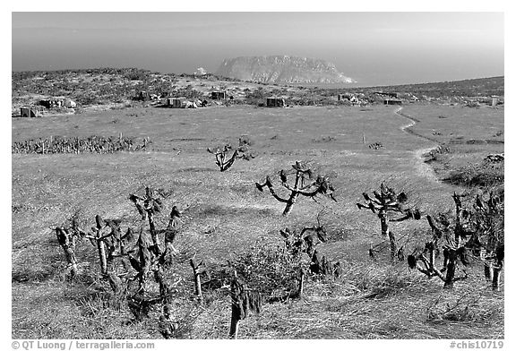 Campground, San Miguel Island. Channel Islands National Park (black and white)