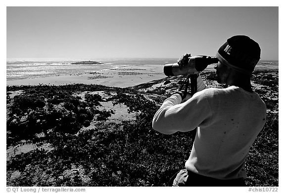 Looking at  marine wildlife at Point Bennett, San Miguel Island. Channel Islands National Park (black and white)