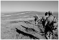 Hikers on  trail to Point Bennett, San Miguel Island. Channel Islands National Park, California, USA. (black and white)