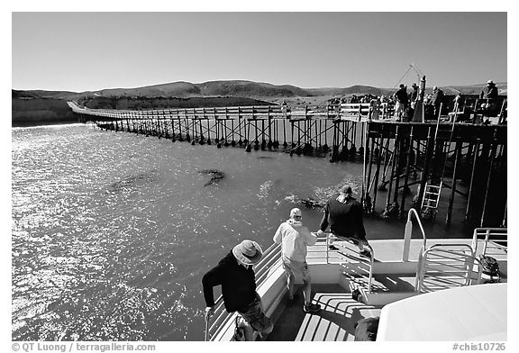 Bechers bay pier, Santa Rosa Island. Channel Islands National Park (black and white)