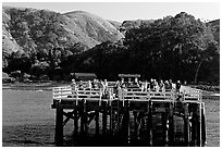 Pier at Prisoners Harbor, Santa Cruz Island. Channel Islands National Park, California, USA. (black and white)