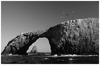 Arch Rock, East Anacapa. Channel Islands National Park, California, USA. (black and white)