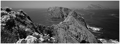 Coreopsis and chain of craggy islands, Anacapa Island. Channel Islands National Park (Panoramic black and white)