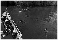 Diving boat and scuba divers in water, Annacapa. Channel Islands National Park, California, USA. (black and white)