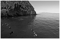 Divers, emerald waters, and steep cliffs, Annacapa island. Channel Islands National Park, California, USA. (black and white)