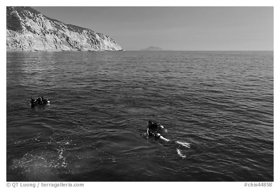 Scuba divers on ocean surface, Santa Cruz Island. Channel Islands National Park (black and white)
