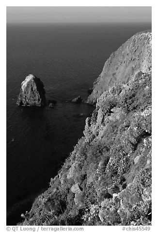 Rock and cliff in springtime, Santa Cruz Island. Channel Islands National Park (black and white)