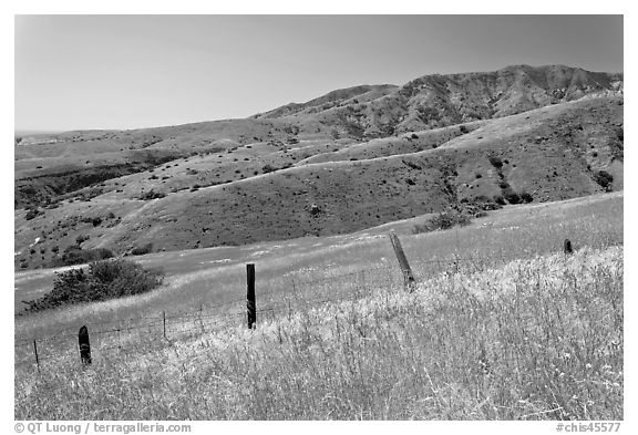 Grasslands, fence and hill ridges, Santa Cruz Island. Channel Islands National Park (black and white)