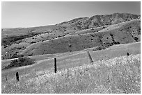 Grasslands, fence and hill ridges, Santa Cruz Island. Channel Islands National Park ( black and white)