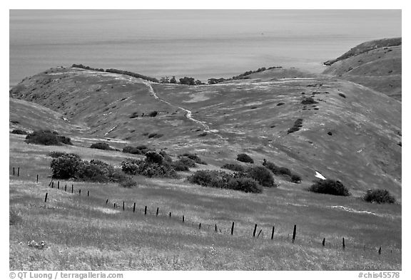 Grasslands in the spring, fence and ocean, Santa Cruz Island. Channel Islands National Park (black and white)