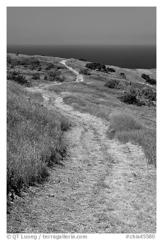 Winding dirt road and ocean, Santa Cruz Island. Channel Islands National Park (black and white)