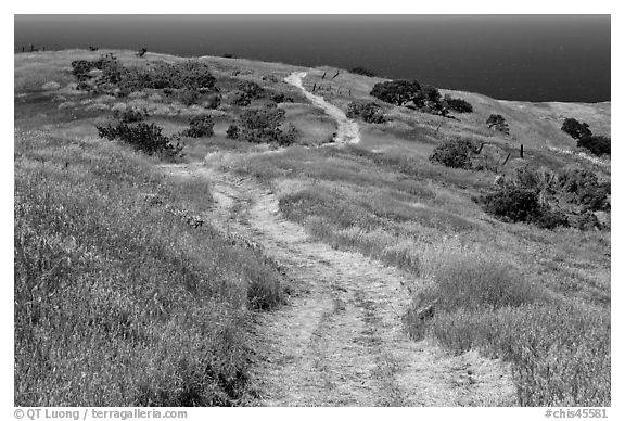 Dirt road through coastal hills, Santa Cruz Island. Channel Islands National Park (black and white)