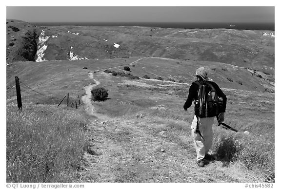 Hiker on trail in the spring, Santa Cruz Island. Channel Islands National Park (black and white)