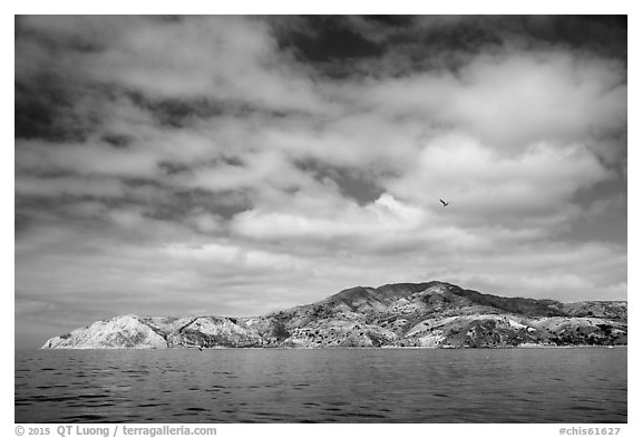 South side, Santa Cruz Island. Channel Islands National Park (black and white)