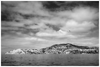 South side, Santa Cruz Island. Channel Islands National Park ( black and white)