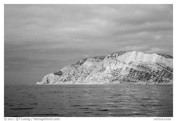 Yellow cliffs, Santa Cruz Island. Channel Islands National Park (black and white)