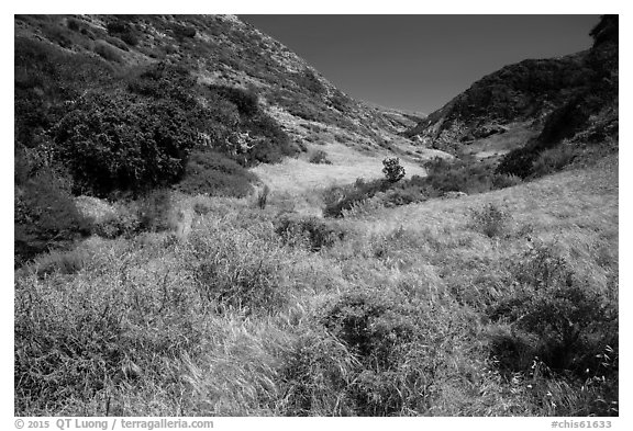 Cherry Canyon, Santa Rosa Island. Channel Islands National Park (black and white)