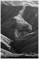 Ridges of central range, Santa Rosa Island. Channel Islands National Park ( black and white)