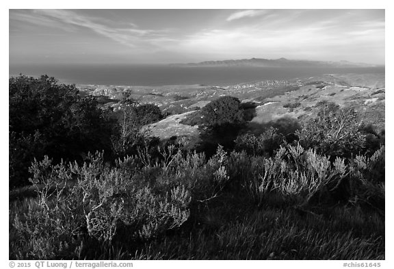 Summit of Black Mountain, Santa Rosa Island. Channel Islands National Park (black and white)