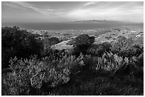 Summit of Black Mountain, Santa Rosa Island. Channel Islands National Park ( black and white)
