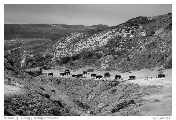 Water Canyon campground, Santa Rosa Island. Channel Islands National Park (black and white)